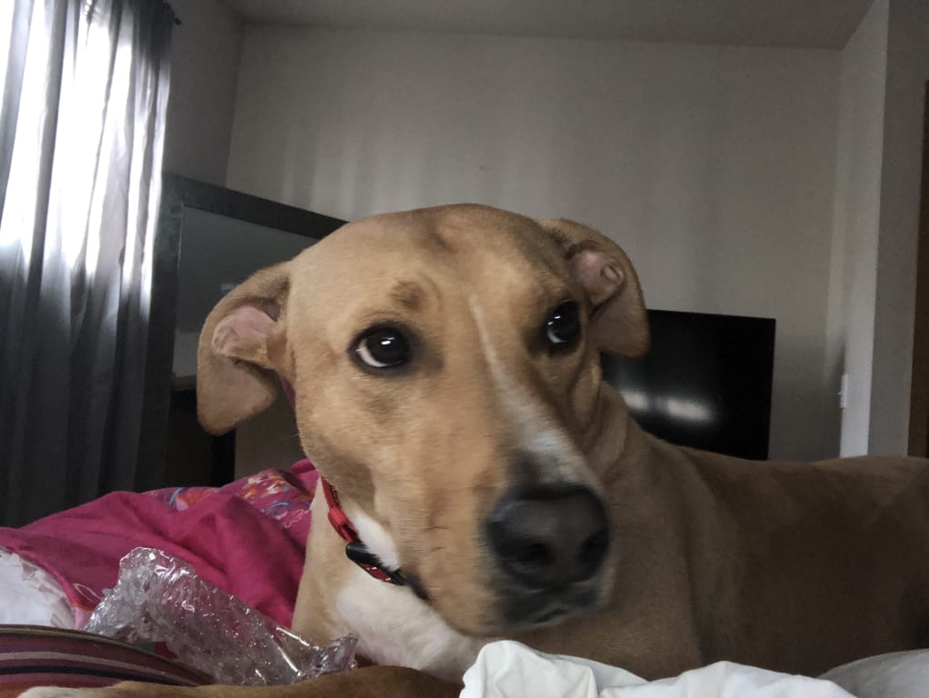 user uploaded review image1 , graphic