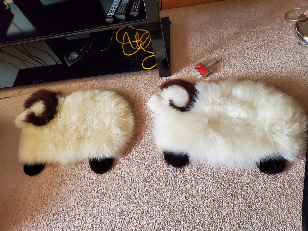 Customer Image Captioned: Our herd.