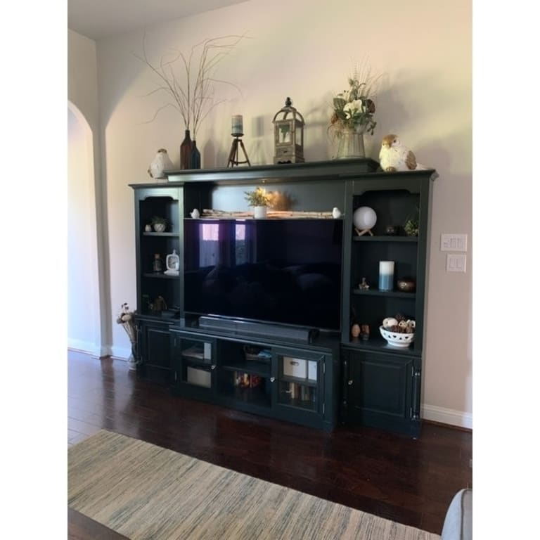 Top Product Reviews for Virginia Grey Entertainment Center