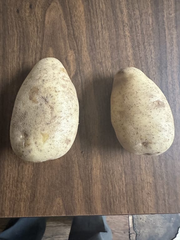 user uploaded review image2 , graphic