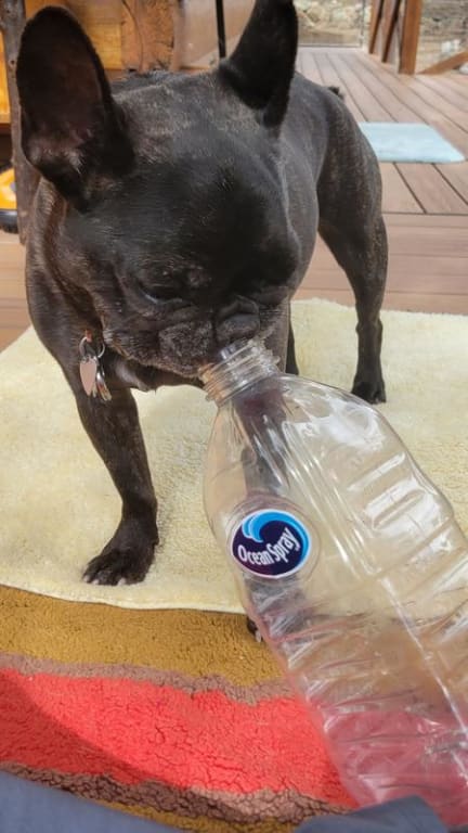 user uploaded review image4 , graphic