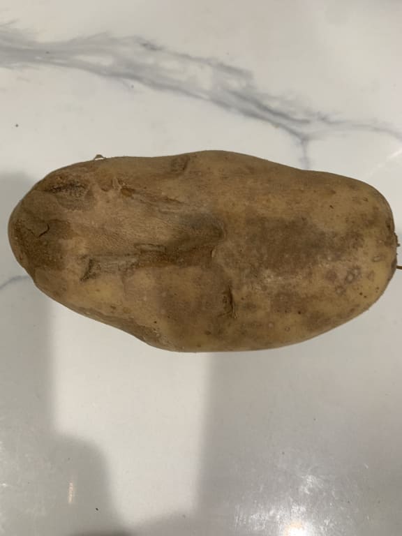 user uploaded review image4 , graphic