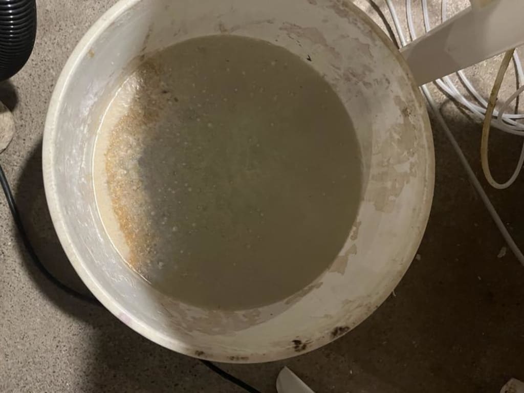 user uploaded review image2 , graphic