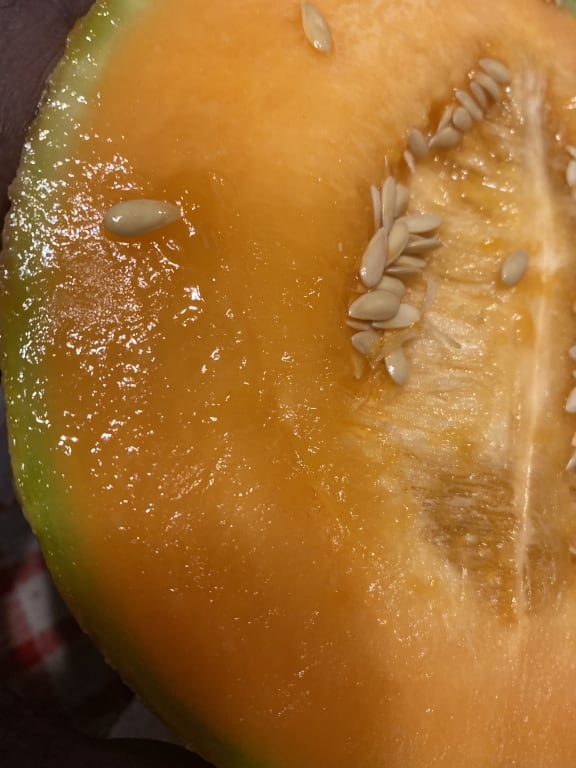 user uploaded review image2 , graphic