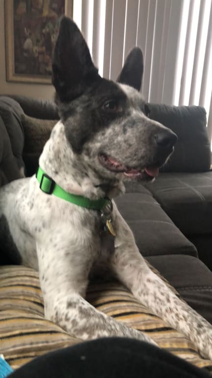 user uploaded review image3 , graphic