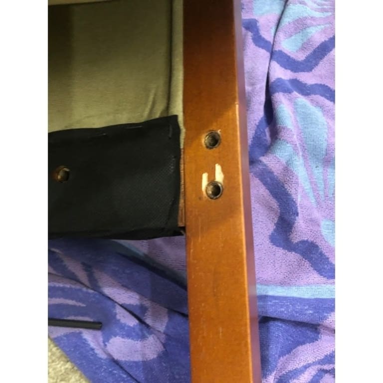 Andorra Sage Velvet Upholstered Dining Chair (Set of 2) by iNSPIRE Q