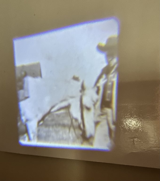 Create Your Own Photo Flashlight from Uncommon Goods. Customer submitted image.