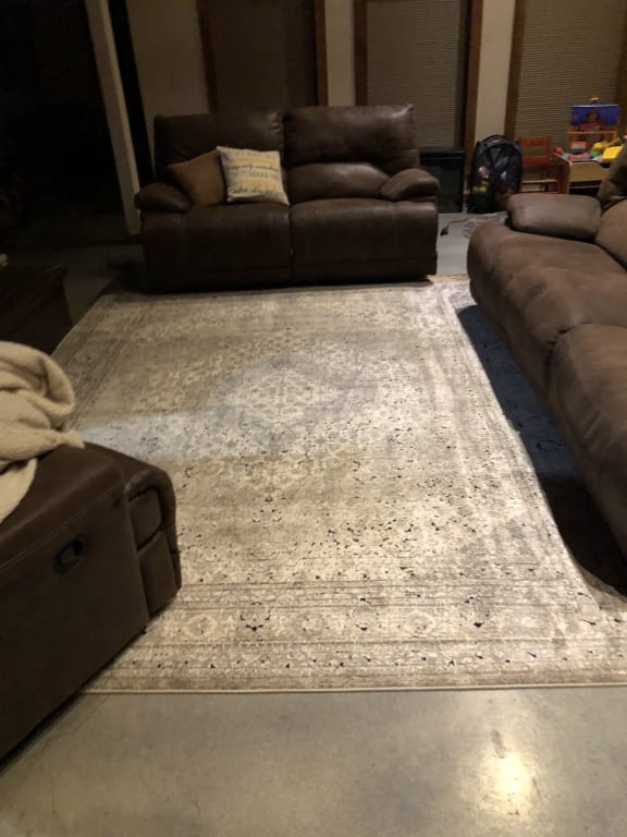 (B500) Xander Ivory & Tan Area Rug, 8x10