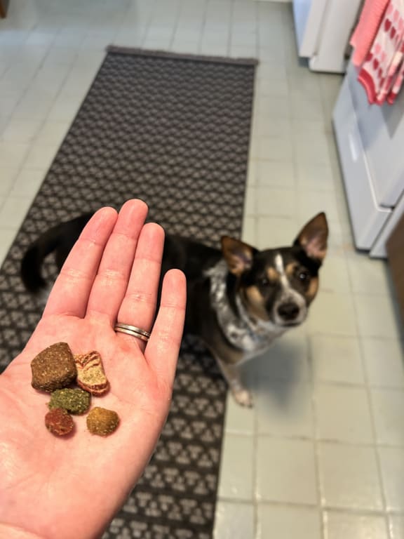 user uploaded review image3 , graphic