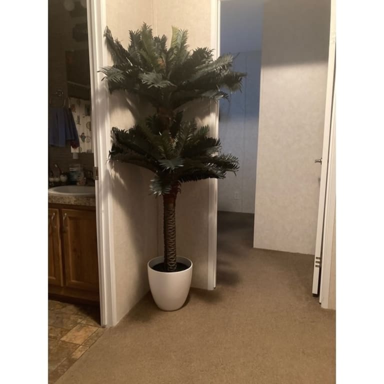 Artificial Double Potted Sago Palm Tree Green On Sale Bed Bath