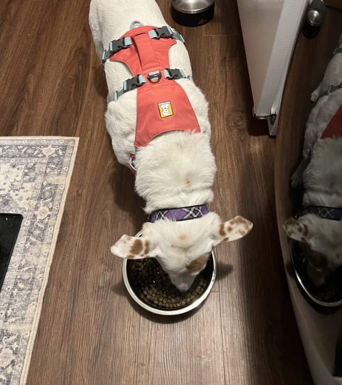 user uploaded review image3 , graphic