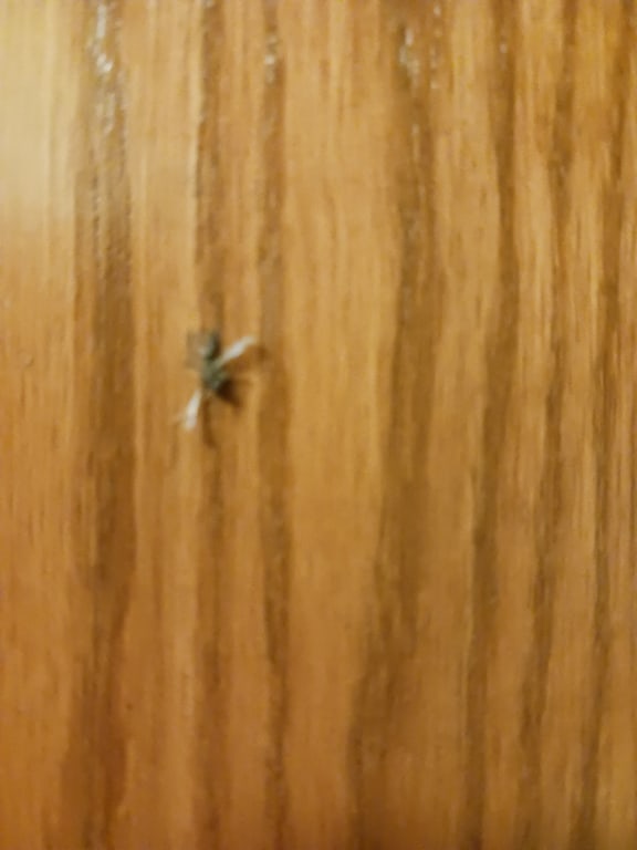 user uploaded review image2 , graphic