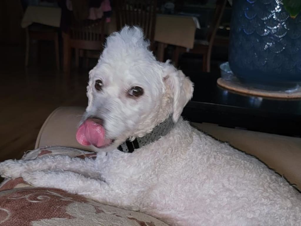 user uploaded review image1 , graphic