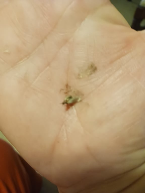 user uploaded review image3 , graphic