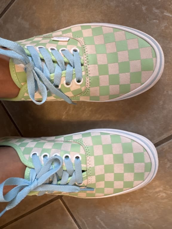 Authentic Shoe in Incense | Vans
