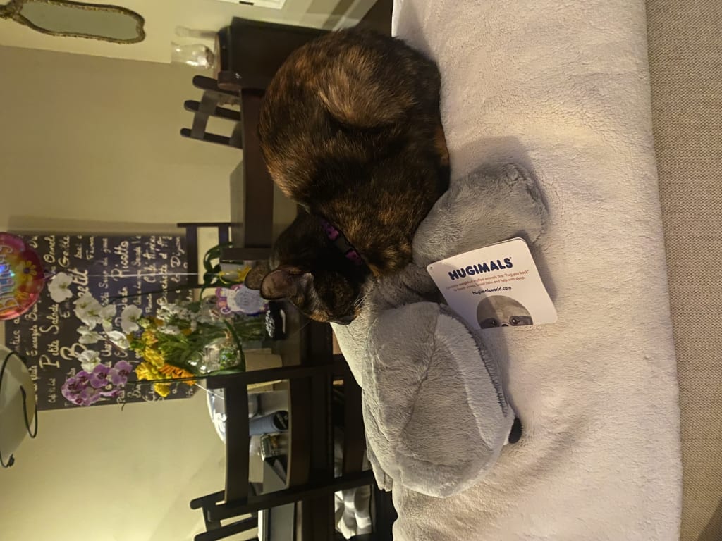 Weighted Emotional Support Animal from Uncommon Goods. Customer submitted image.