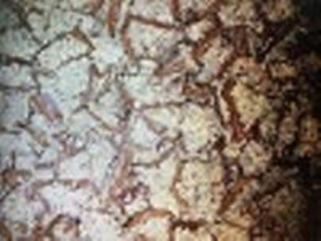 user uploaded review image3 , graphic