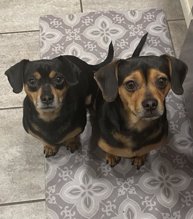 user uploaded review image3 , graphic