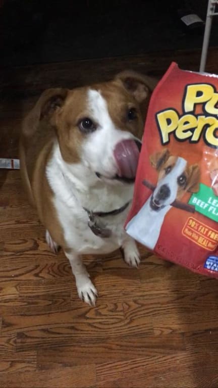 user uploaded review image1 , graphic