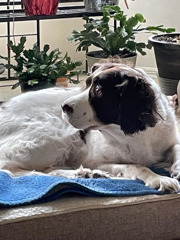 user uploaded review image4 , graphic