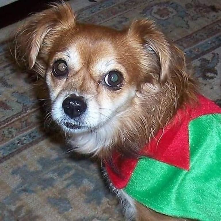 user uploaded review image4 , graphic