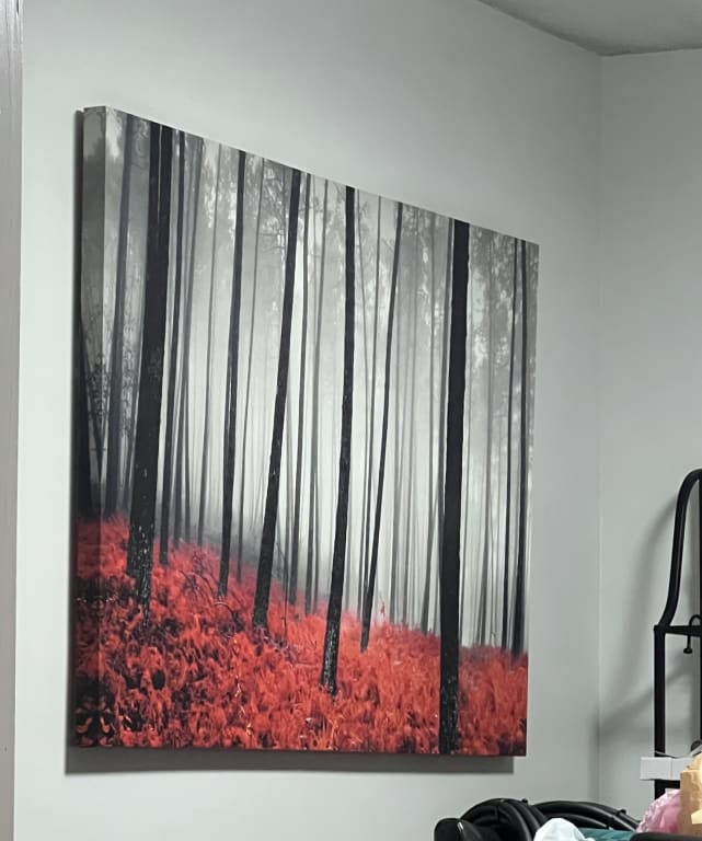 Autumn Woods Canvas Wall Art, 60x36 | At Home