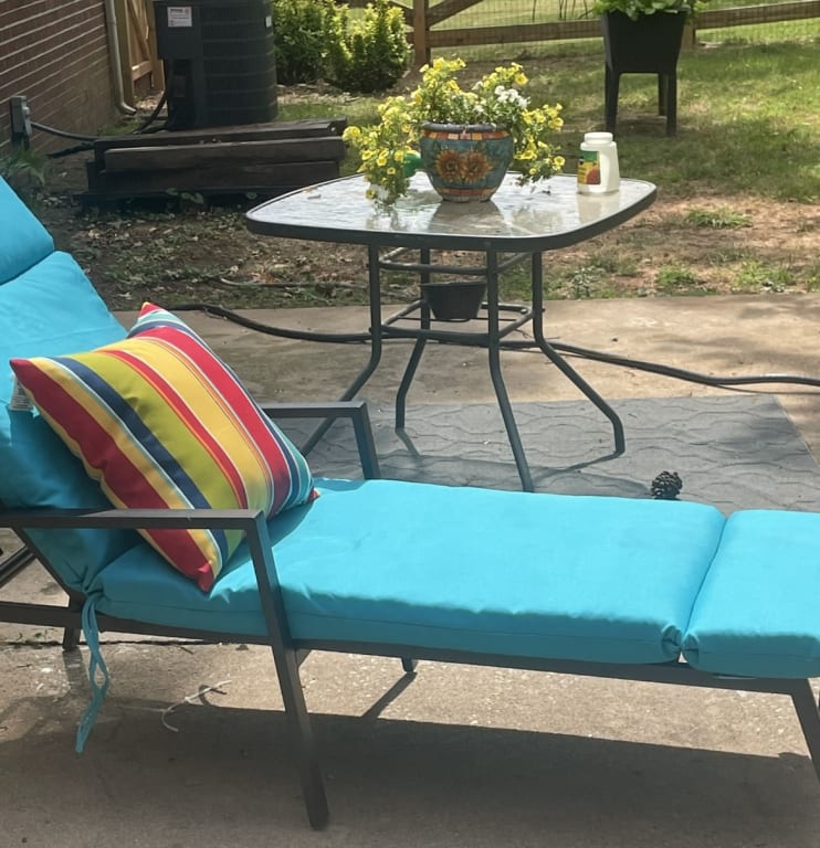 Grammercy Black Steel Slat Outdoor Chaise Lounge Chair