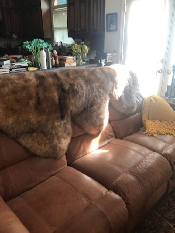 Customer Image Captioned: 3-Pelt rug placed over leather sofa