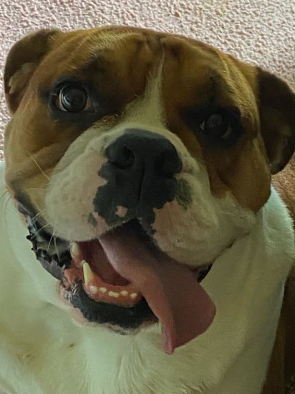 user uploaded review image4 , graphic