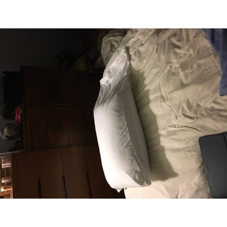 Down Alternative Soft Bulk Pillow 4 Pack by DOWNLITE® (Hypoallergenic