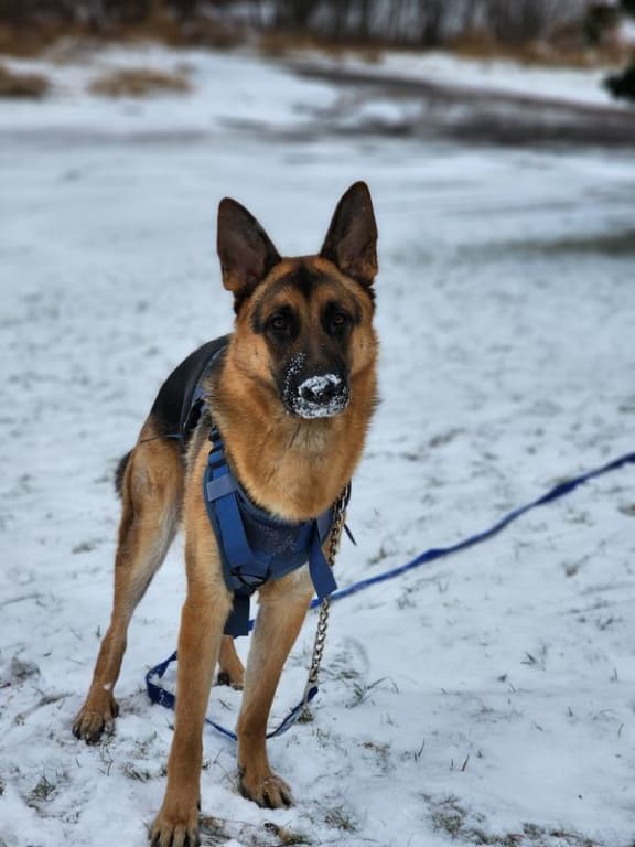 user uploaded review image3 , graphic