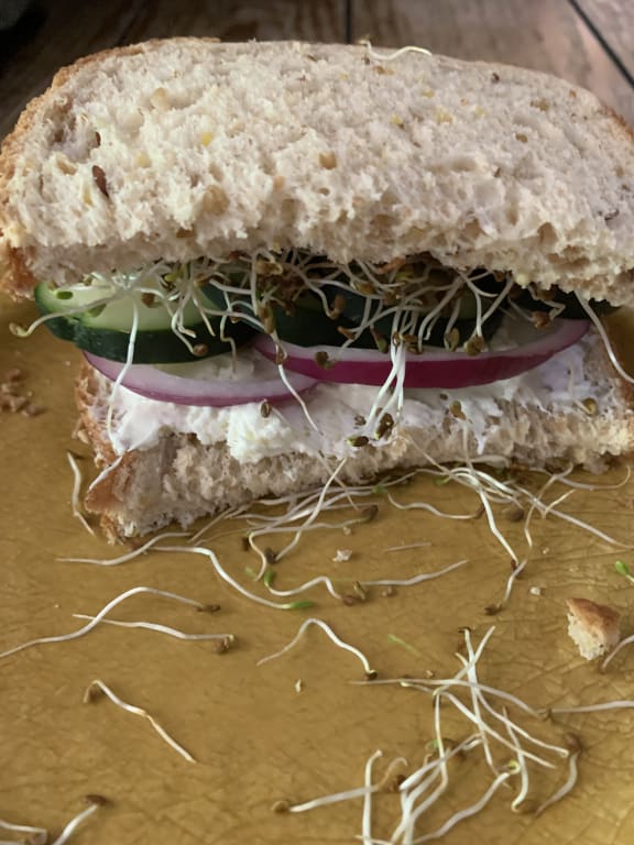 user uploaded review image2 , graphic