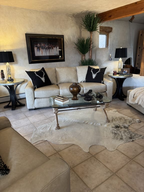 Exotic Cowhide Area Rug | Overland