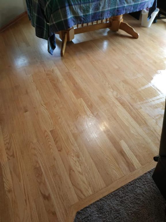 Bona Hardwood Floor Deep Cleaner