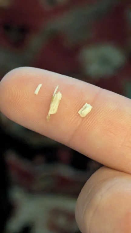 user uploaded review image1 , graphic