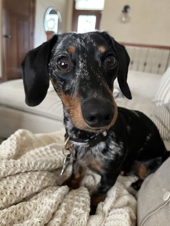 user uploaded review image4 , graphic