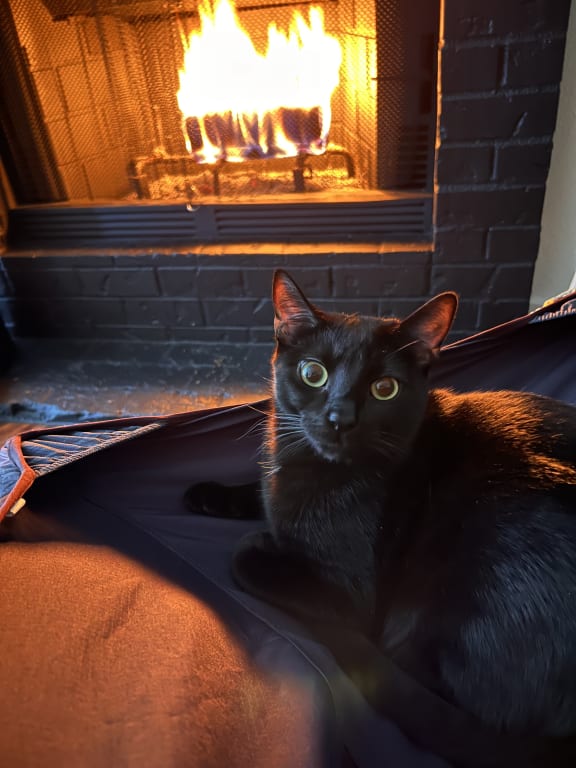 user uploaded review image2 , graphic