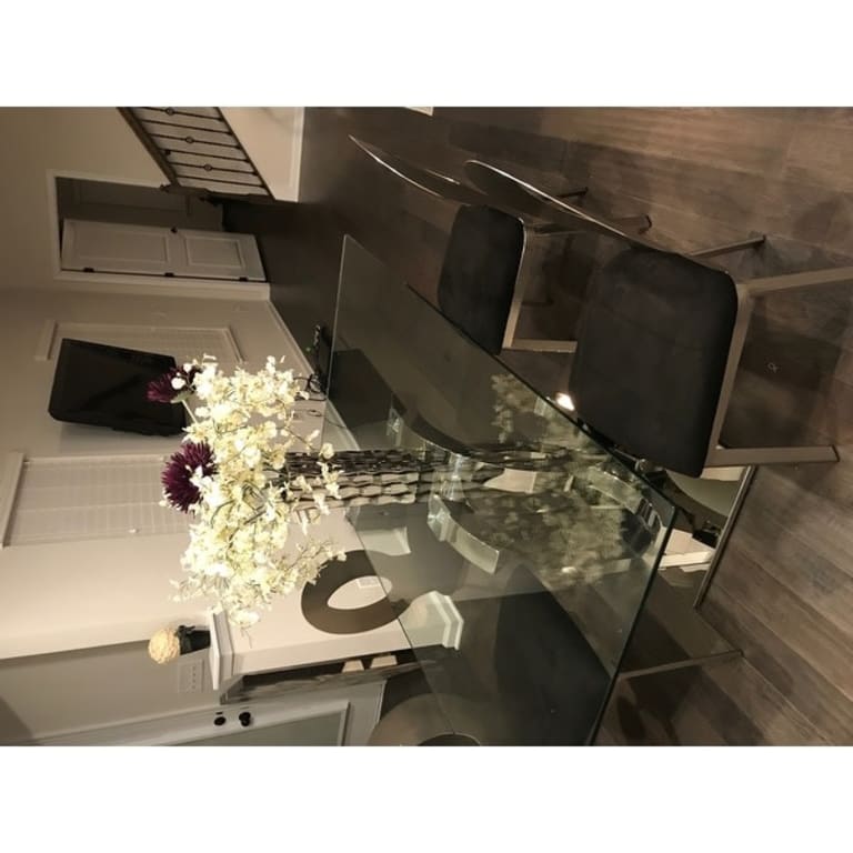 Zaia Contemporary Silver Steel Padded Dining Chairs by Furniture of