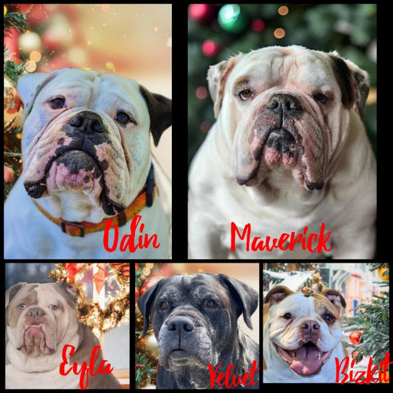 user uploaded review image4 , graphic