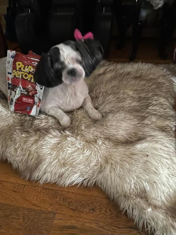 user uploaded review image3 , graphic