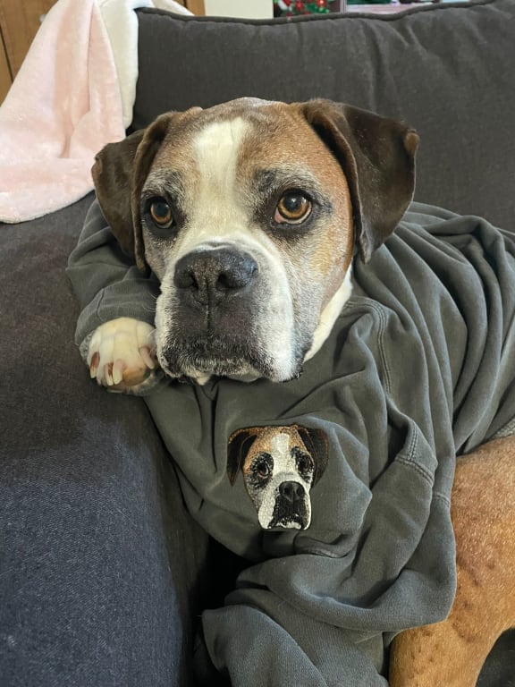 Custom Pet Embroidered Sweatshirt
