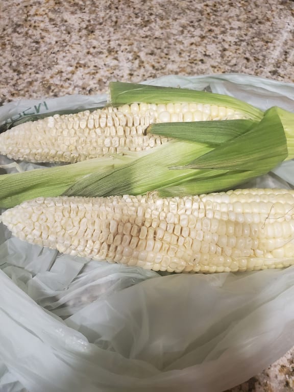 user uploaded review image2 , graphic