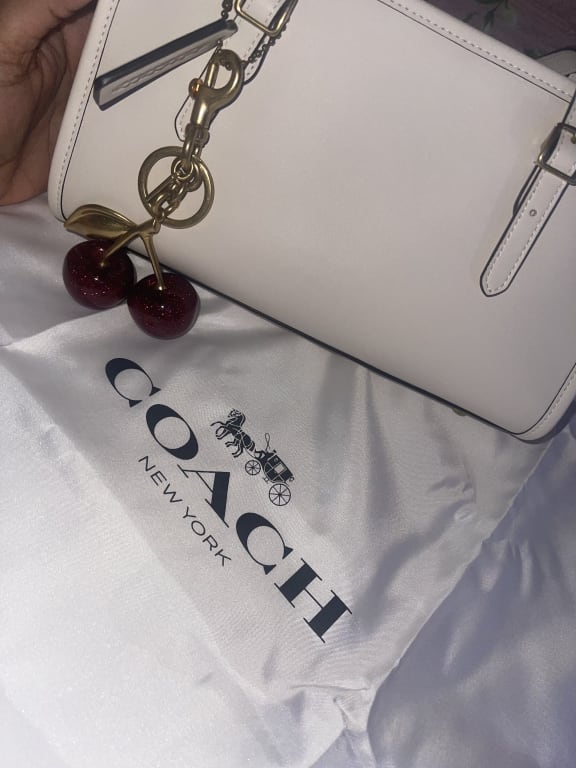 As much as i loved the white one the Pink Coach Swing Zip is EVERYTHIN, Coach  Bag