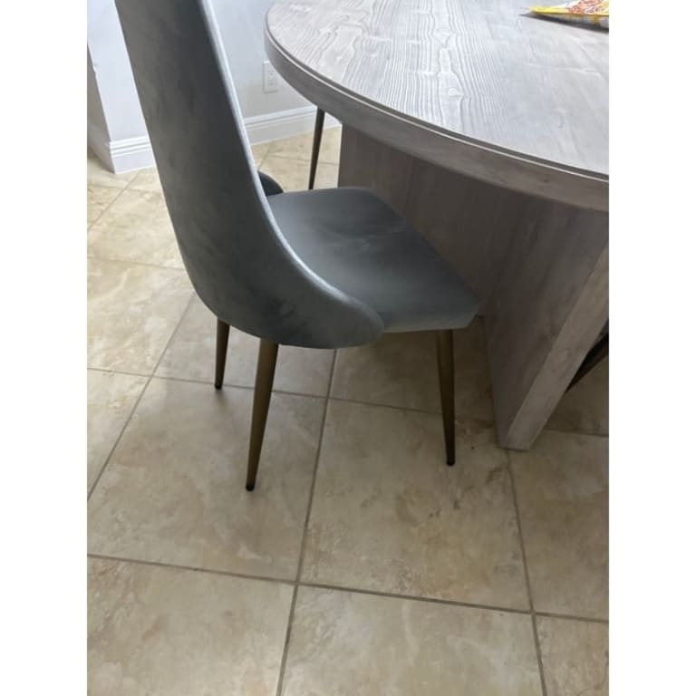 Carmilla Side Velvet Upholstered Chair (Set of 2) Bed Bath & Beyond