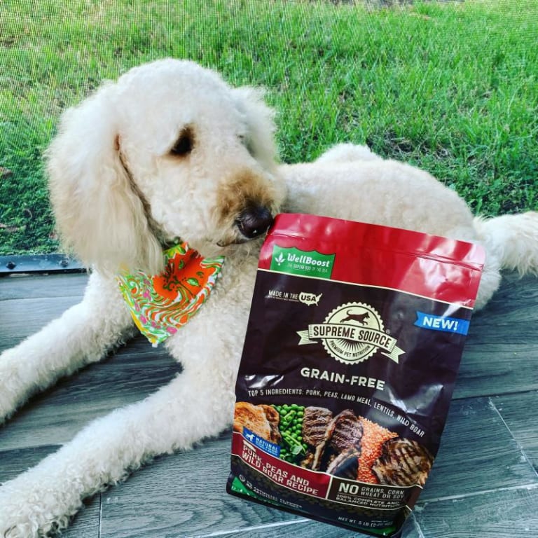 user uploaded review image1 , graphic