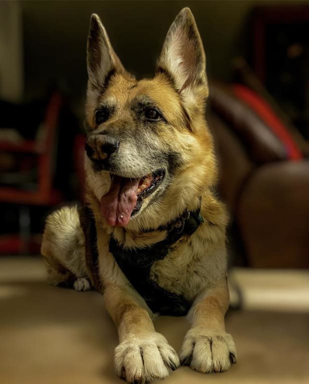 user uploaded review image2 , graphic