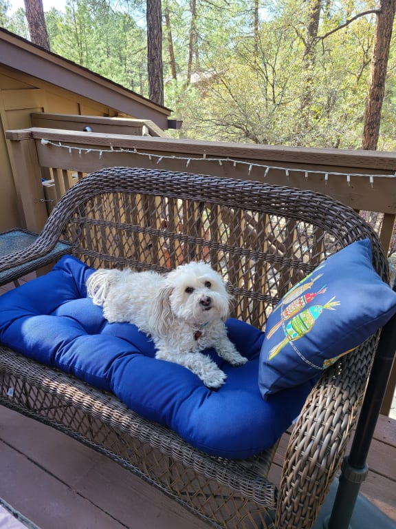 Outdoor Wicker Settee, White