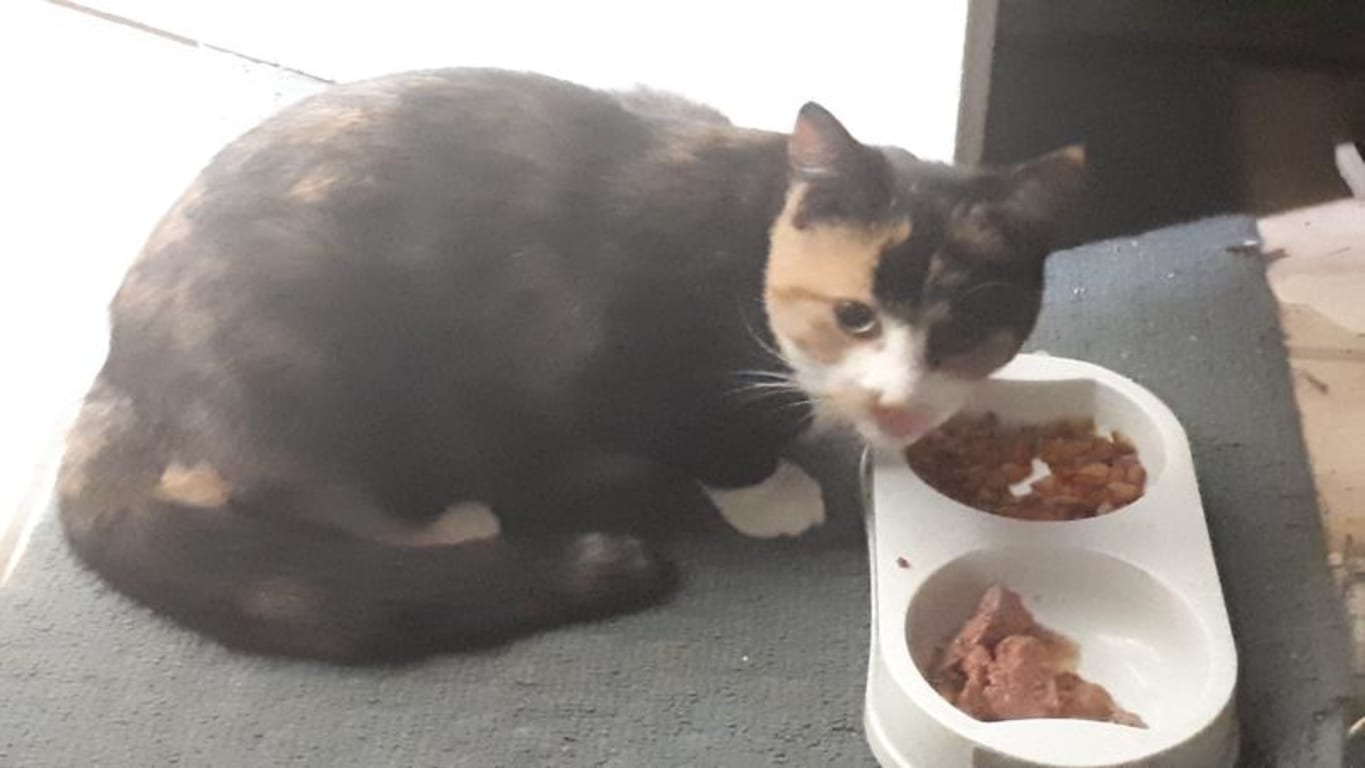 user uploaded review image1 , graphic