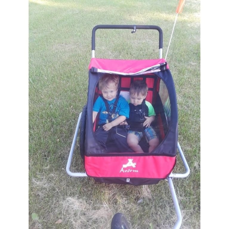Aosom 2 in 1 Double Child Bike Trailer and Stroller Bed Bath & Beyond