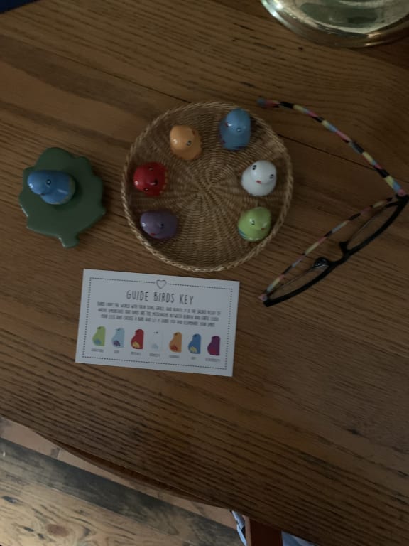 Guide Birds from Uncommon Goods. Customer submitted image.
